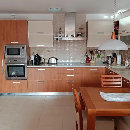 Poniklec V Apartment