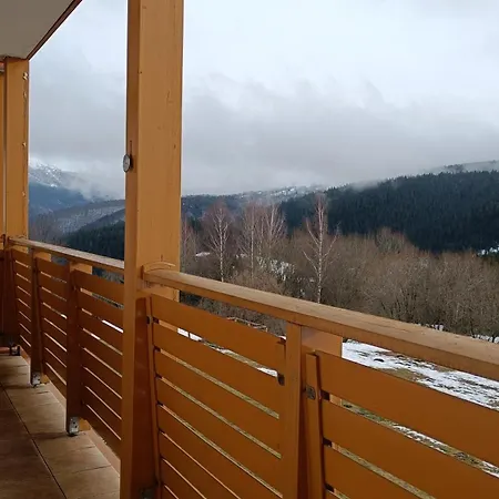 Poniklec V * Donovaly